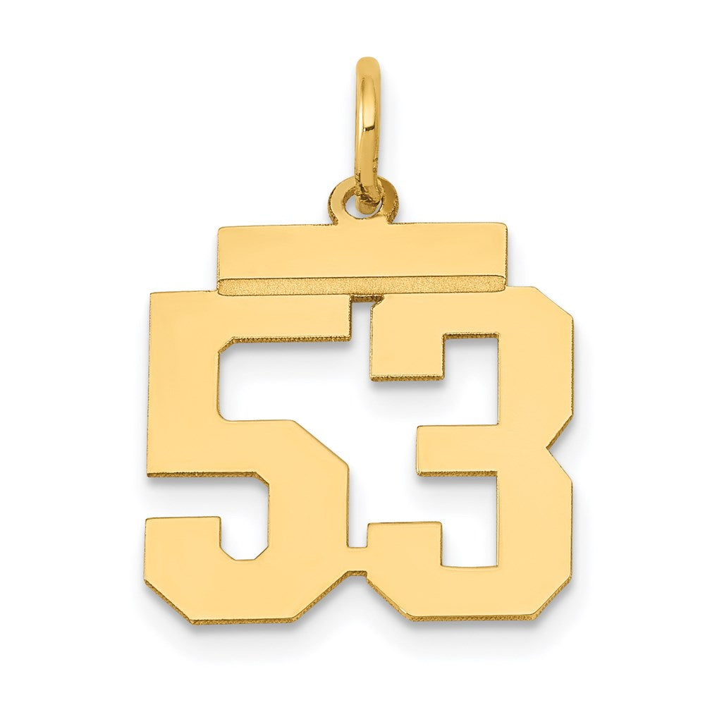 Million Charms 14K Yellow Gold Themed Small Polished Number 53 Charm