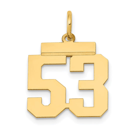 Million Charms 14K Yellow Gold Themed Small Polished Number 53 Charm