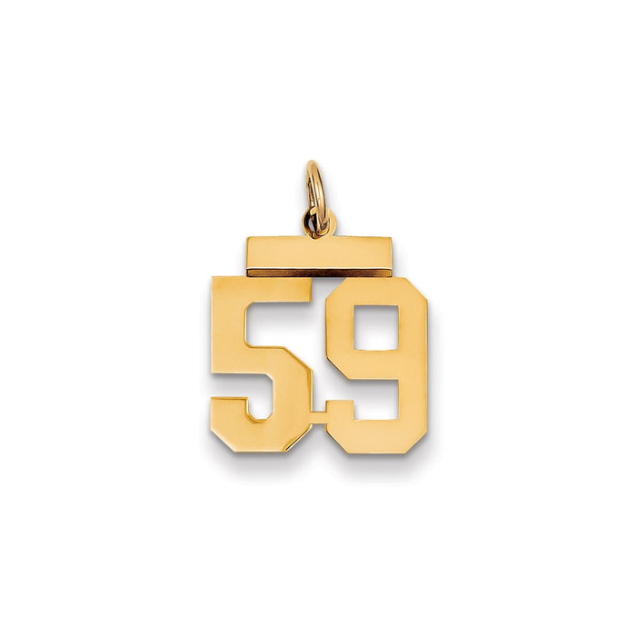 Million Charms 14K Yellow Gold Themed Small Polished Number 59 Charm