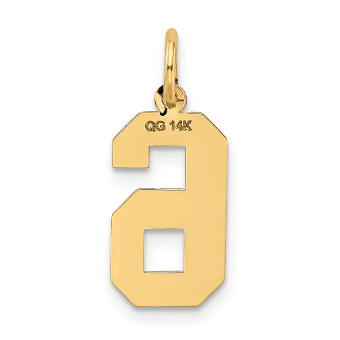 Million Charms 14K Yellow Gold Themed Medium Satin Number 6 Charm