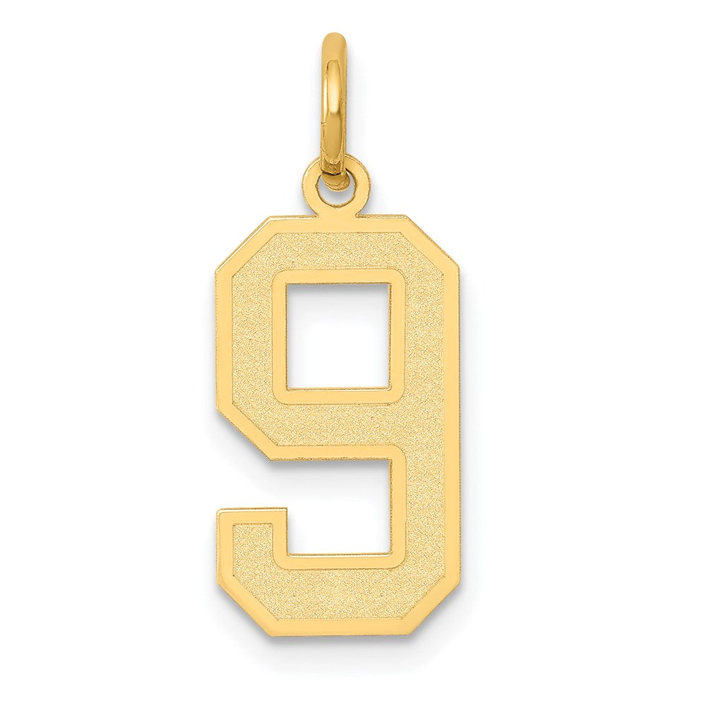 Million Charms 14K Yellow Gold Themed Medium Satin Number 9 Charm