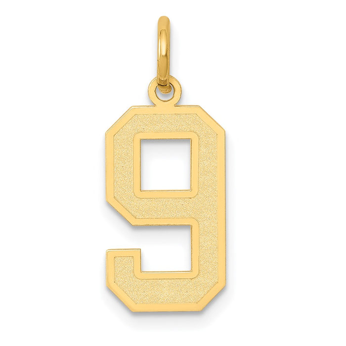 Million Charms 14K Yellow Gold Themed Medium Satin Number 9 Charm