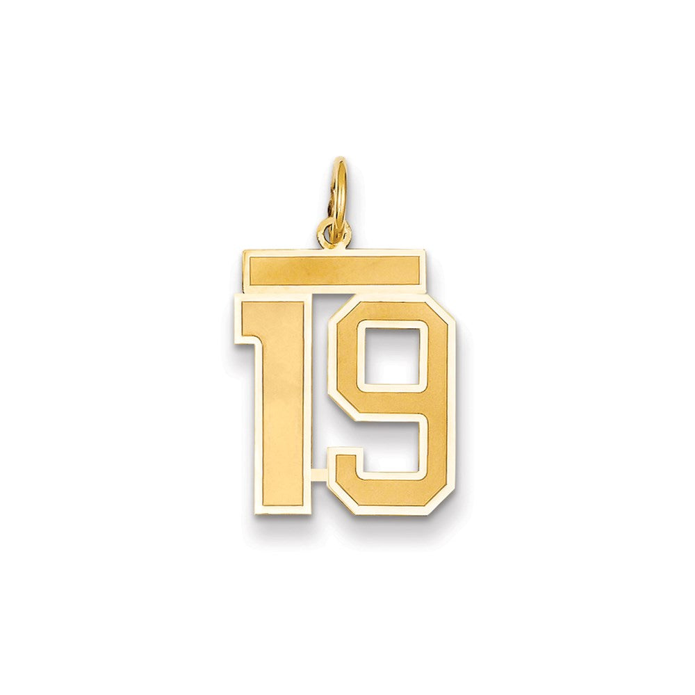 Million Charms 14K Yellow Gold Themed Medium Satin Number 19 Charm