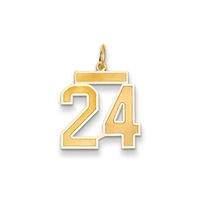 Million Charms 14K Yellow Gold Themed Medium Satin Number 24 Charm