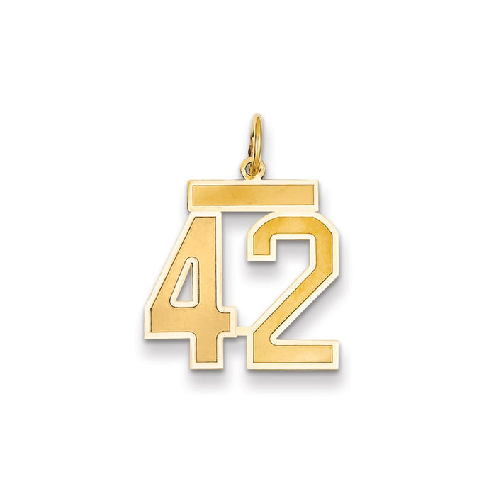 Million Charms 14K Yellow Gold Themed Medium Satin Number 42 Charm