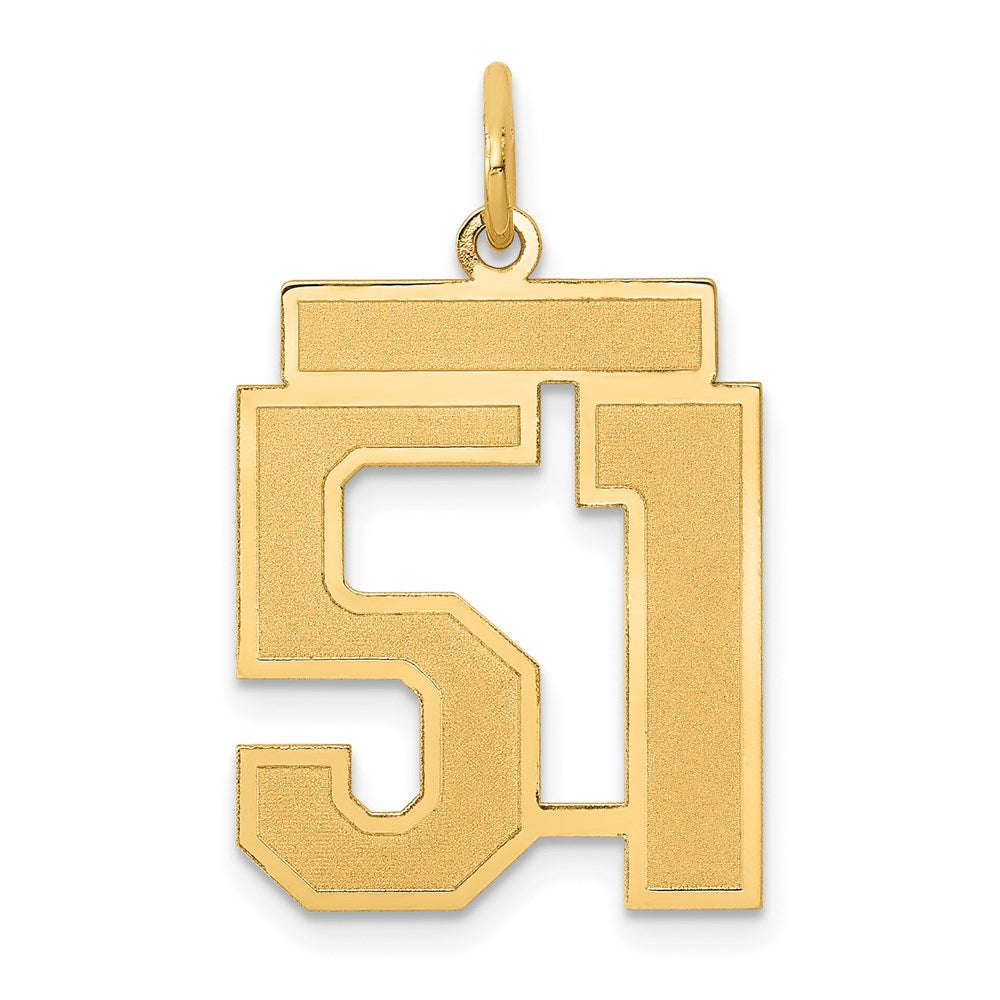 Million Charms 14K Yellow Gold Themed Medium Satin Number 51 Charm