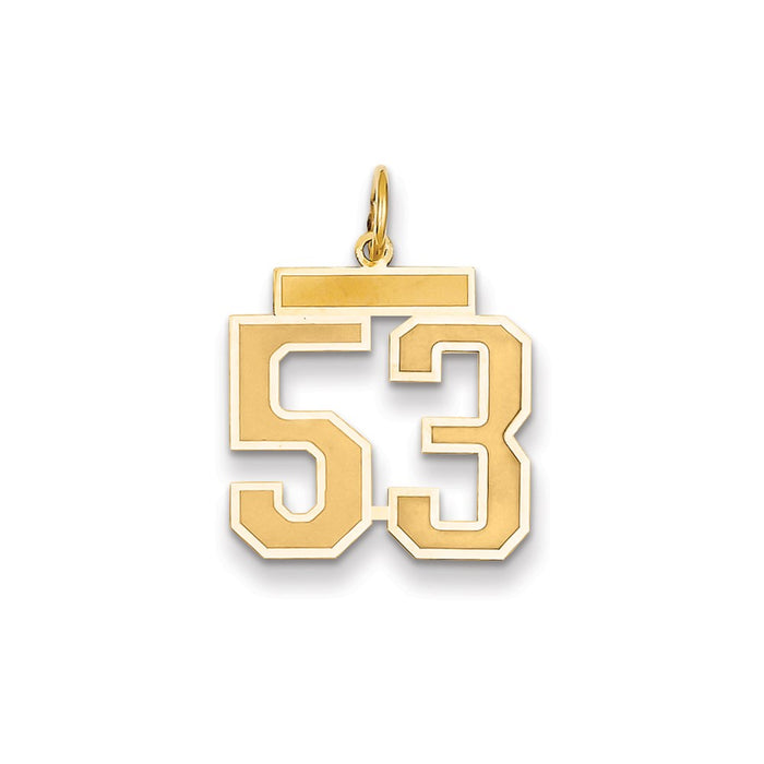 Million Charms 14K Yellow Gold Themed Medium Satin Number 53 Charm