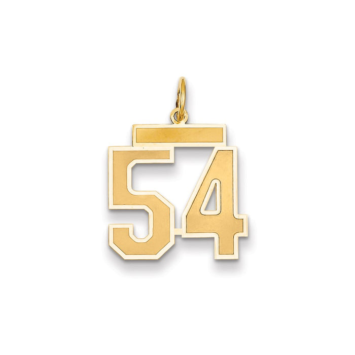 Million Charms 14K Yellow Gold Themed Medium Satin Number 54 Charm