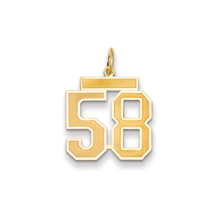 Million Charms 14K Yellow Gold Themed Medium Satin Number 58 Charm