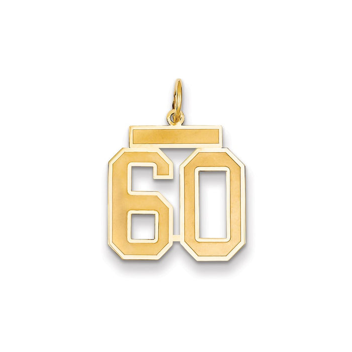 Million Charms 14K Yellow Gold Themed Medium Satin Number 60 Charm