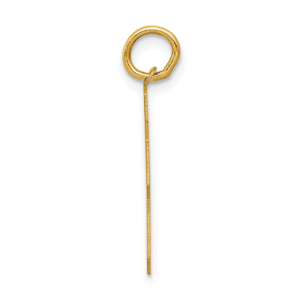 Million Charms 14K Yellow Gold Themed Medium Satin Number 63 Charm