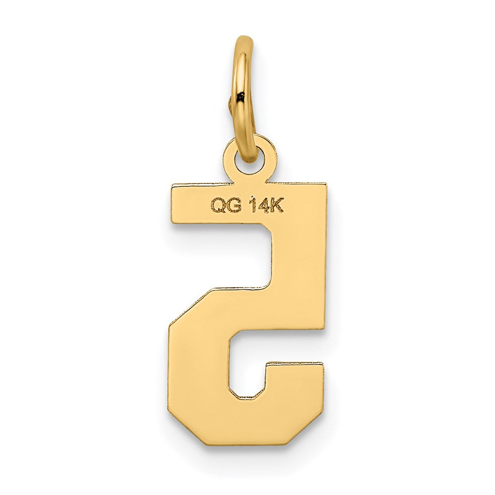 Million Charms 14K Yellow Gold Themed Small Satin Number 5 Charm