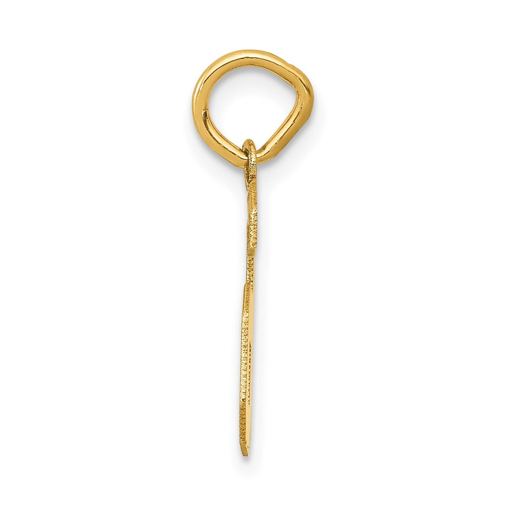 Million Charms 14K Yellow Gold Themed Small Satin Number 6 Charm