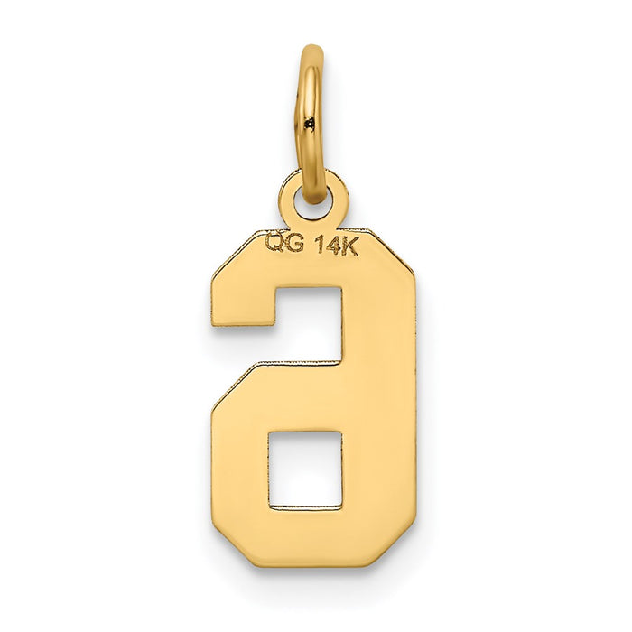 Million Charms 14K Yellow Gold Themed Small Satin Number 6 Charm