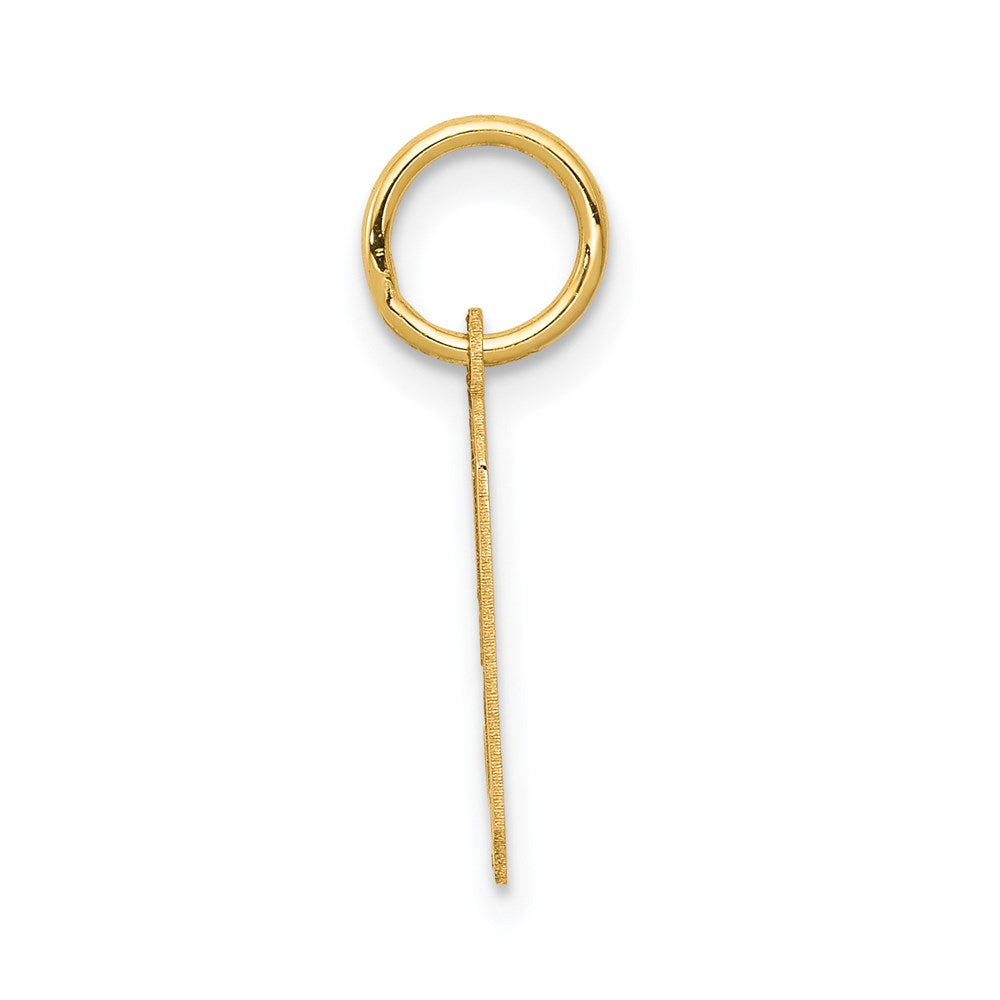 Million Charms 14K Yellow Gold Themed Small Satin Number 9 Charm