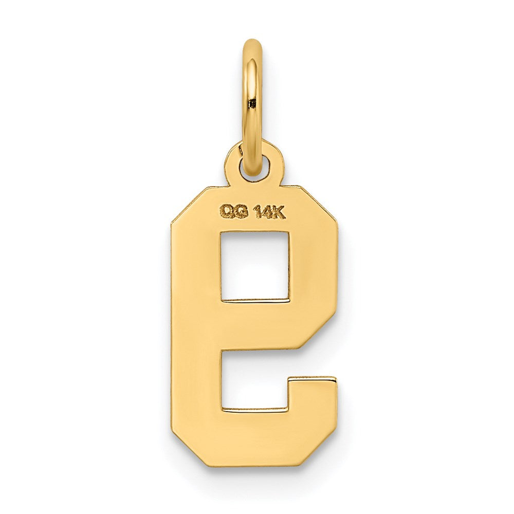 Million Charms 14K Yellow Gold Themed Small Satin Number 9 Charm