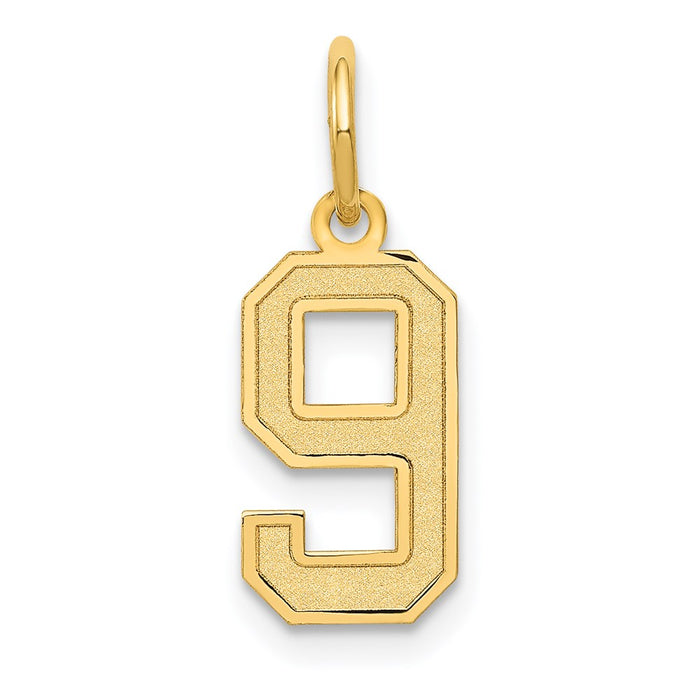 Million Charms 14K Yellow Gold Themed Small Satin Number 9 Charm