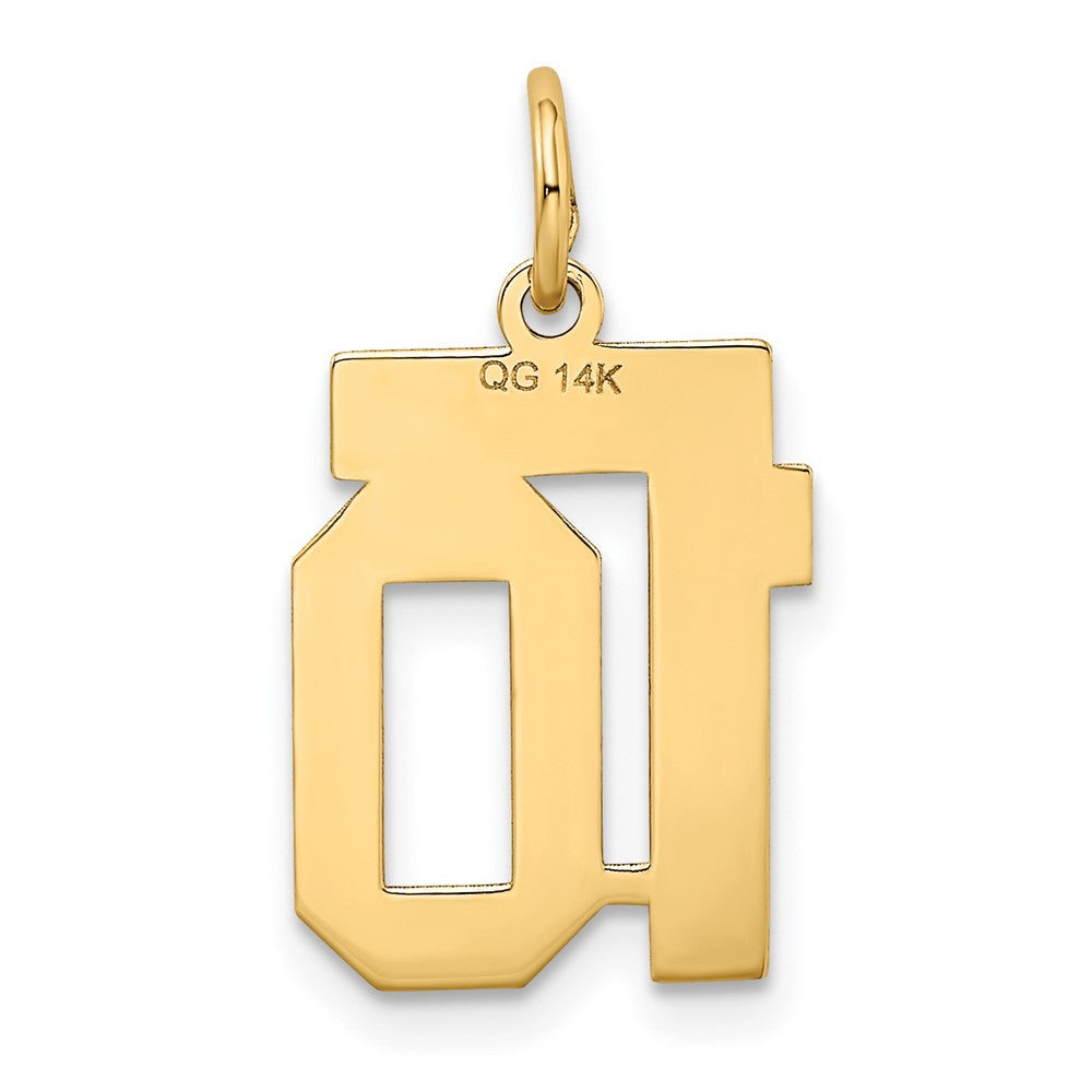 Million Charms 14K Yellow Gold Themed Small Satin Number 10 Charm