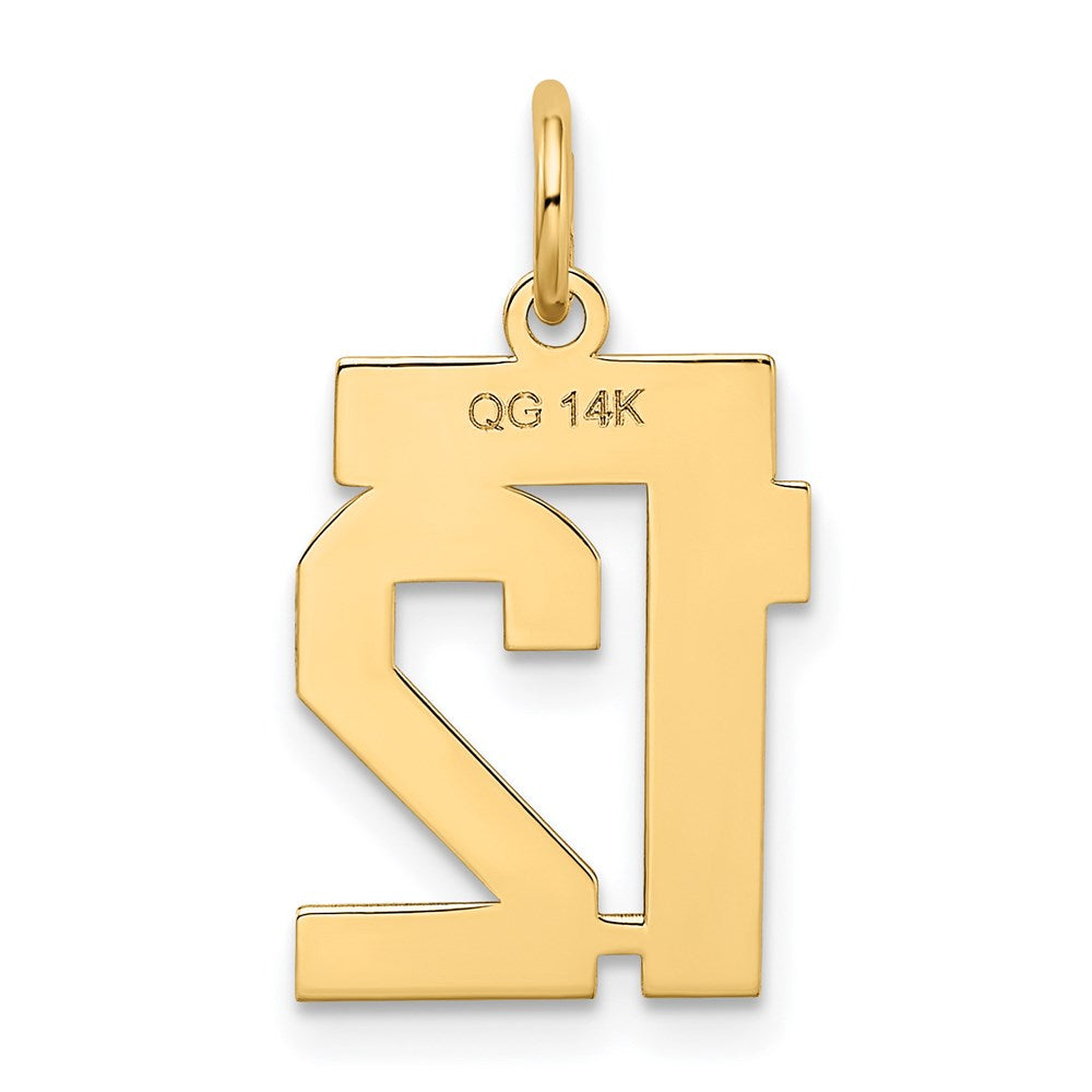 Million Charms 14K Yellow Gold Themed Small Satin Number 12 Charm