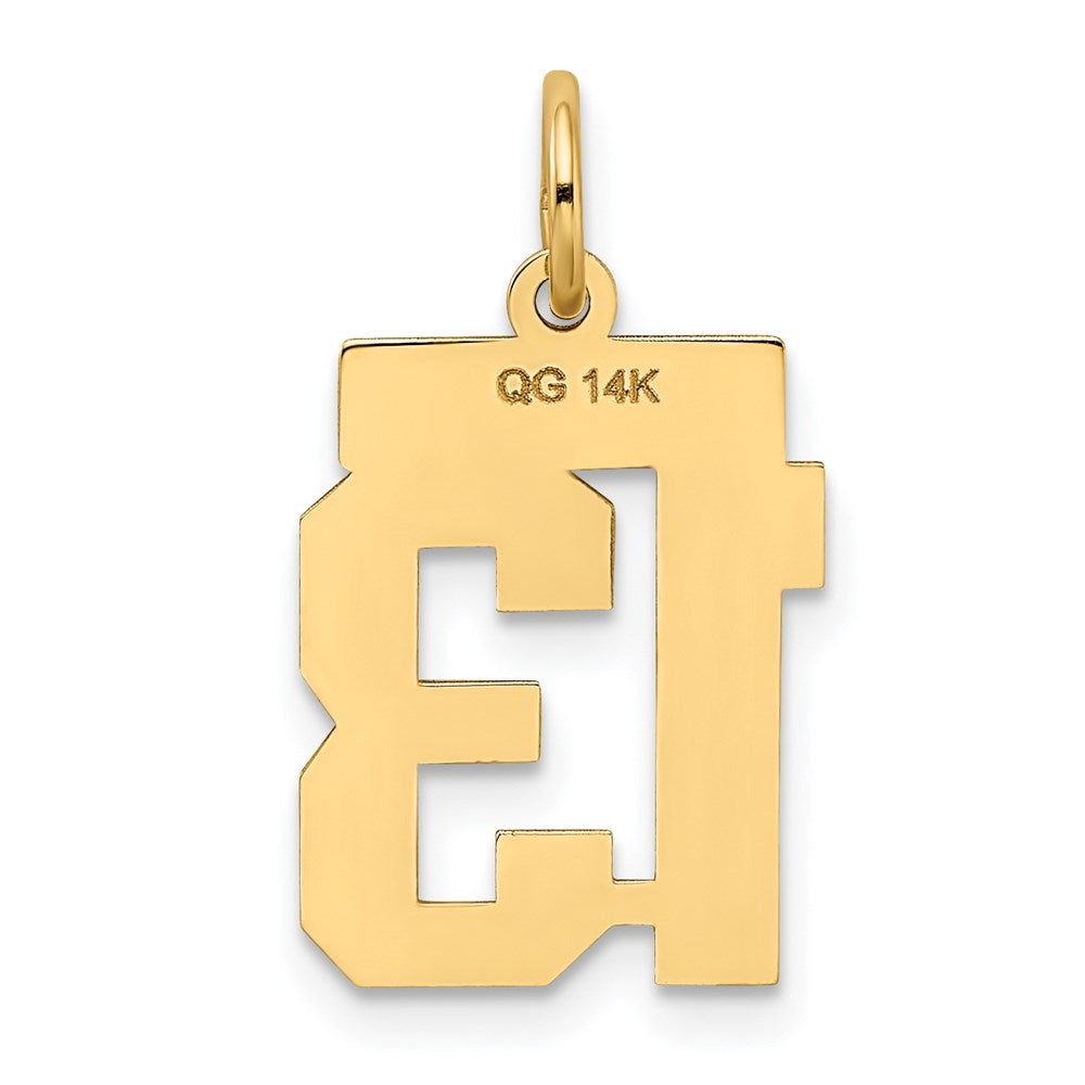 Million Charms 14K Yellow Gold Themed Small Satin Number 13 Charm