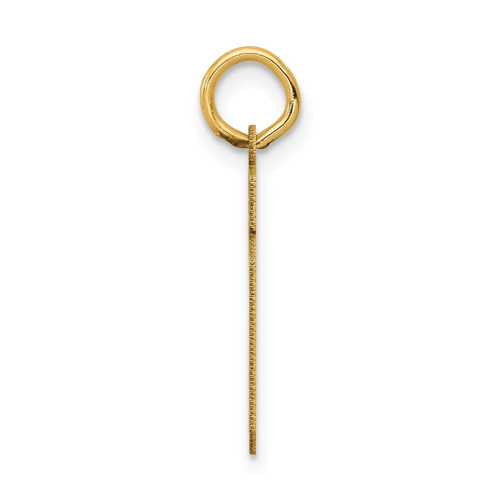 Million Charms 14K Yellow Gold Themed Small Satin Number 19 Charm