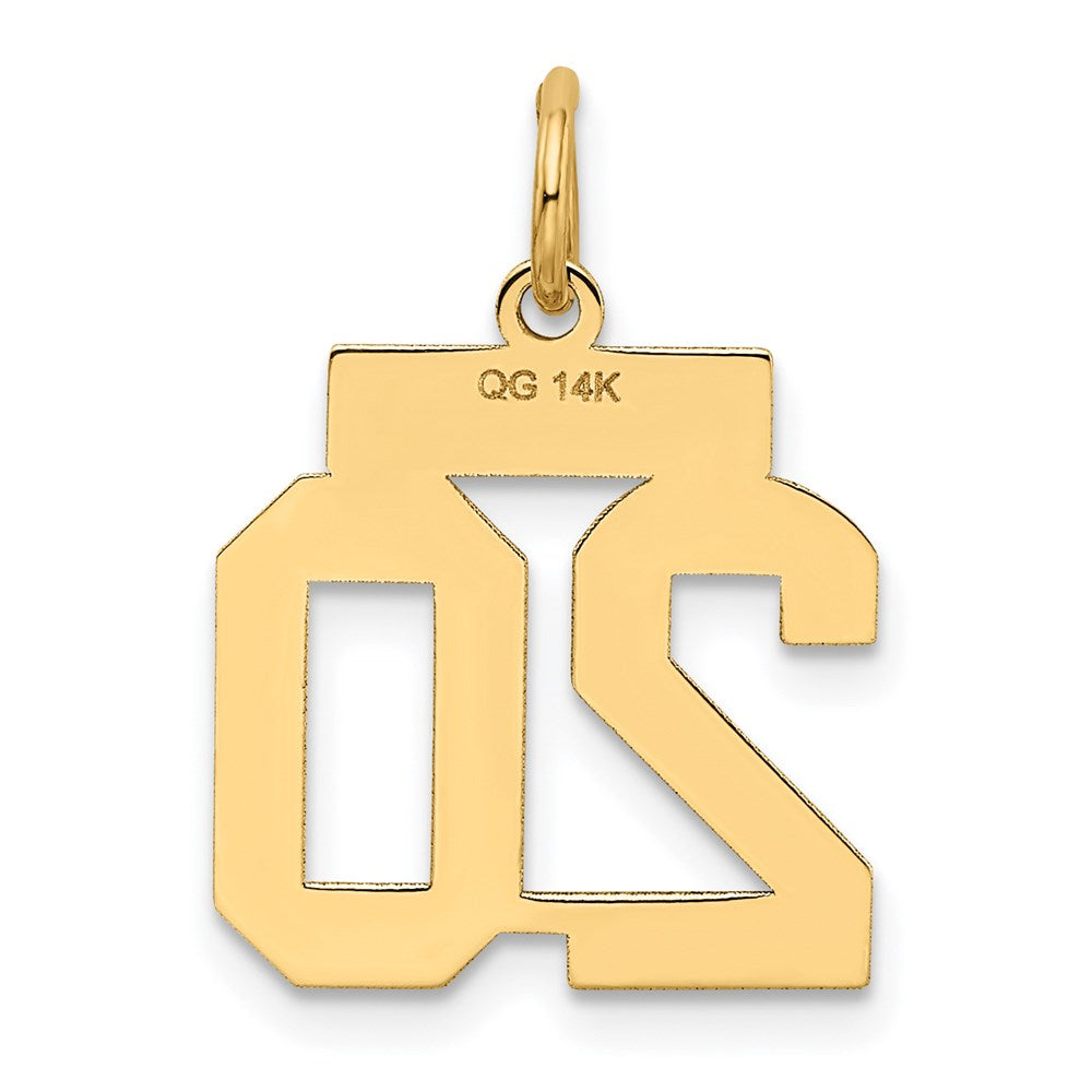 Million Charms 14K Yellow Gold Themed Small Satin Number 20 Charm