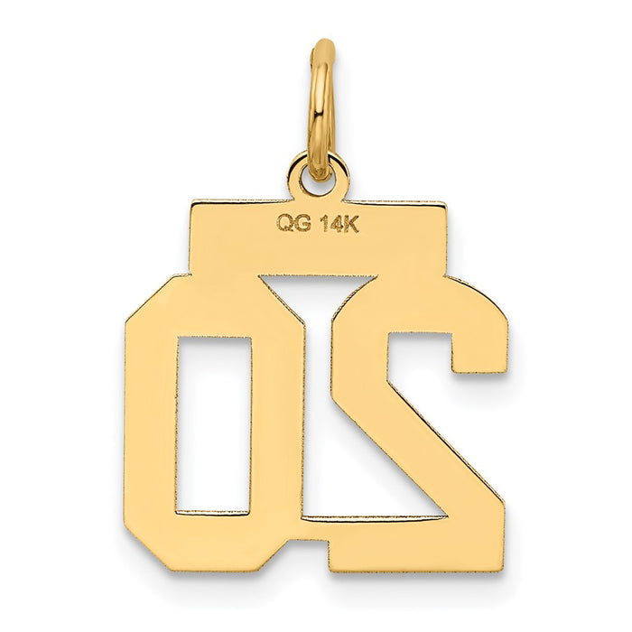 Million Charms 14K Yellow Gold Themed Small Satin Number 20 Charm