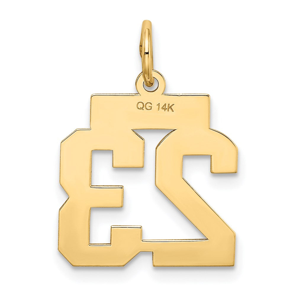 Million Charms 14K Yellow Gold Themed Small Satin Number 23 Charm