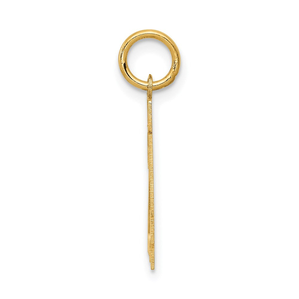 Million Charms 14K Yellow Gold Themed Small Satin Number 24 Charm