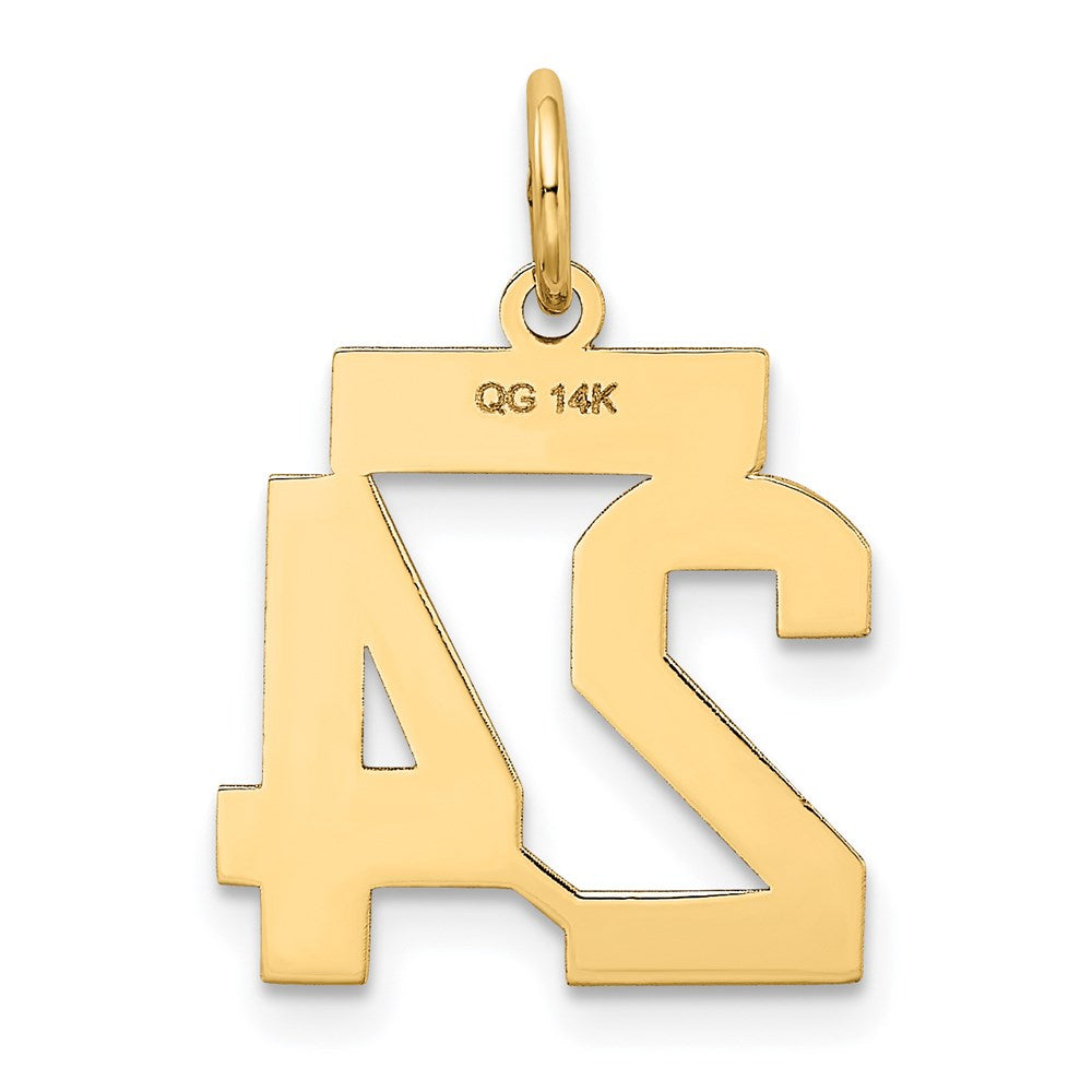 Million Charms 14K Yellow Gold Themed Small Satin Number 24 Charm