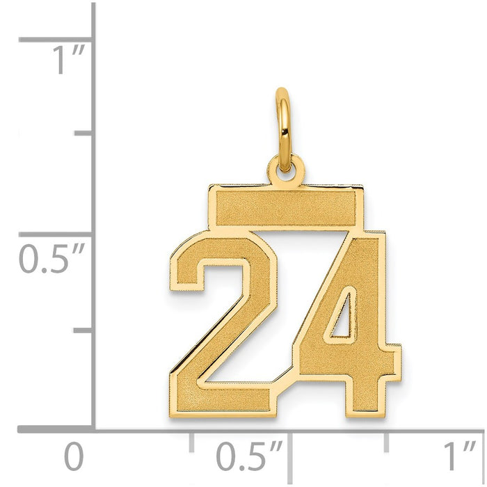 Million Charms 14K Yellow Gold Themed Small Satin Number 24 Charm