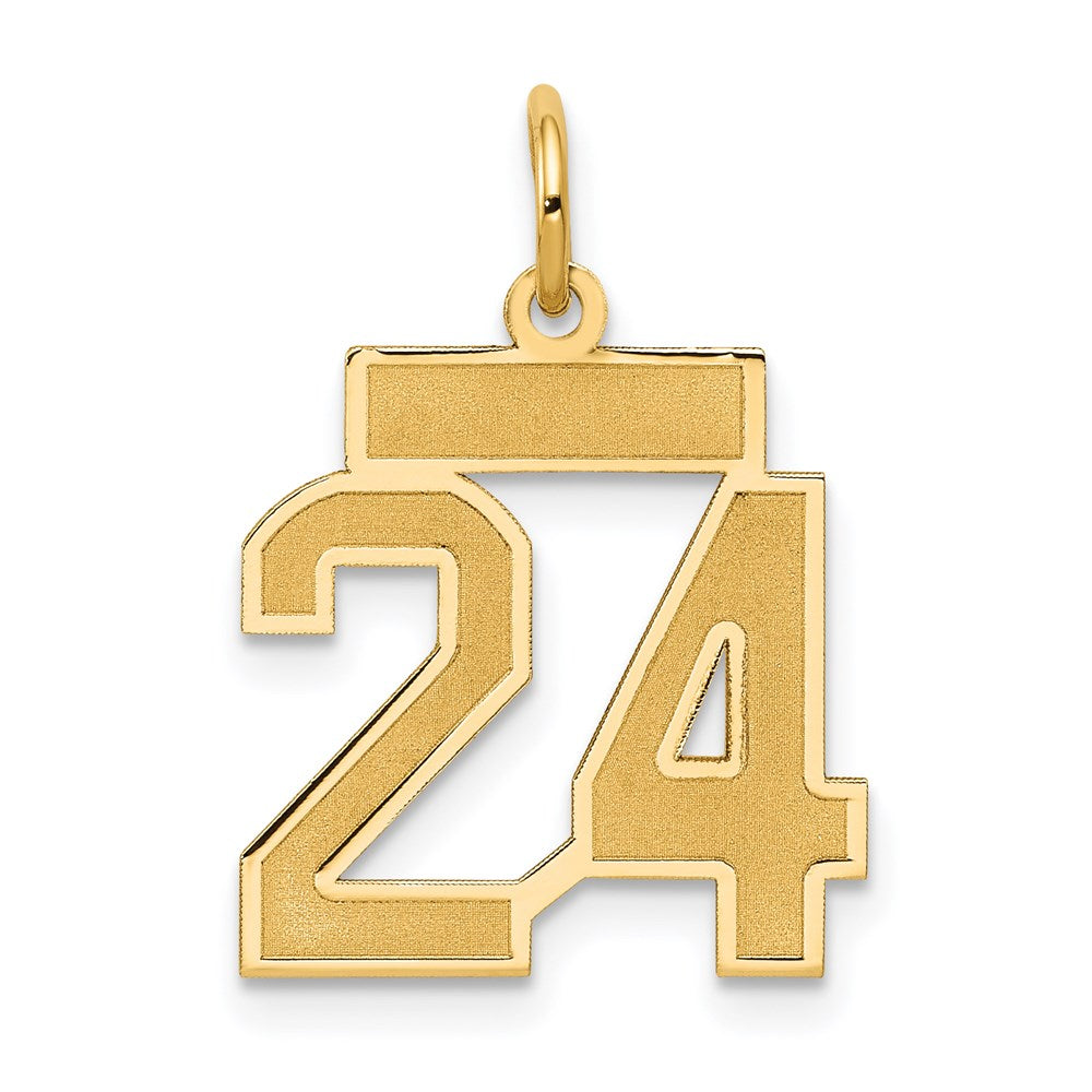 Million Charms 14K Yellow Gold Themed Small Satin Number 24 Charm