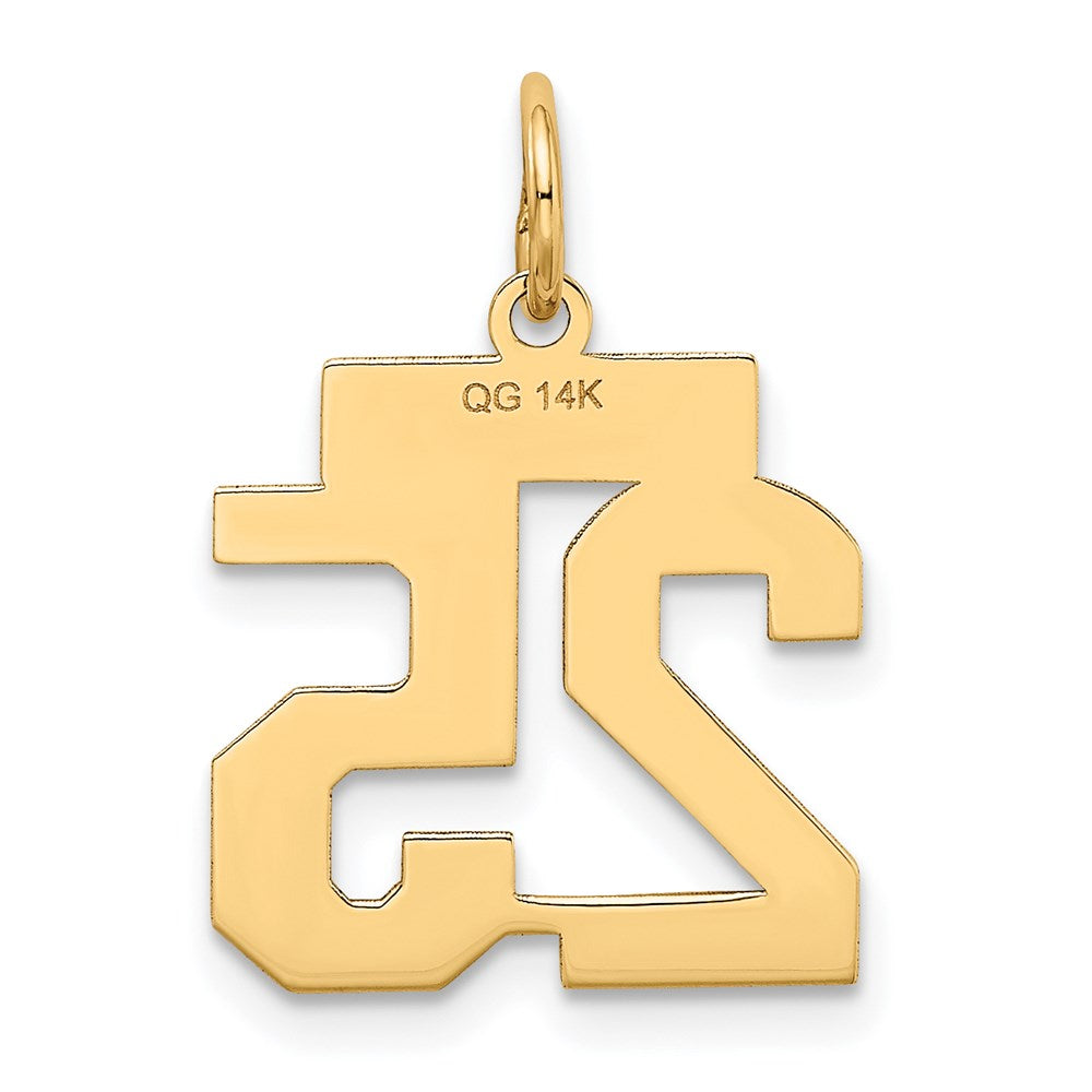 Million Charms 14K Yellow Gold Themed Small Satin Number 25 Charm