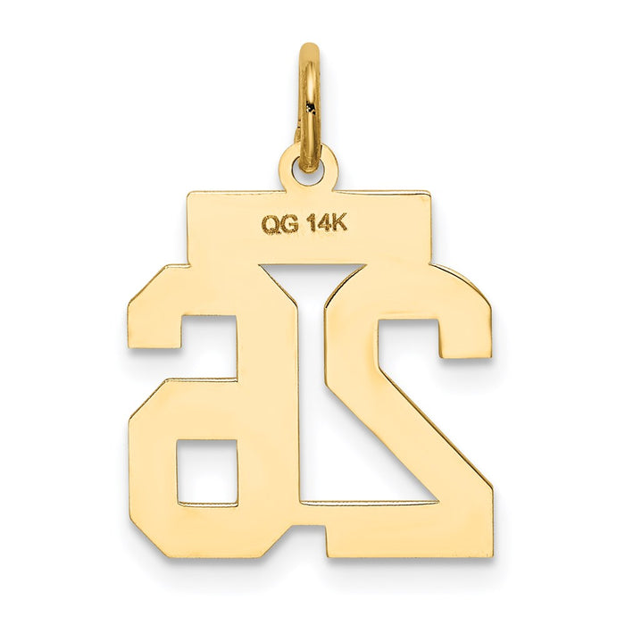 Million Charms 14K Yellow Gold Themed Small Satin Number 26 Charm