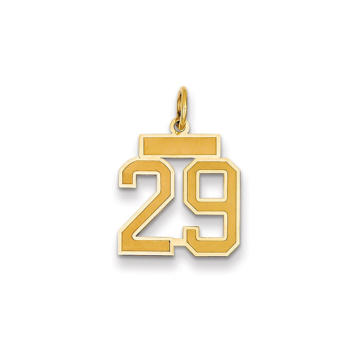 Million Charms 14K Yellow Gold Themed Small Satin Number 29 Charm