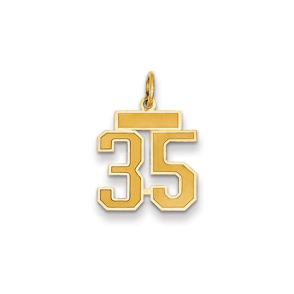 Million Charms 14K Yellow Gold Themed Small Satin Number 35 Charm