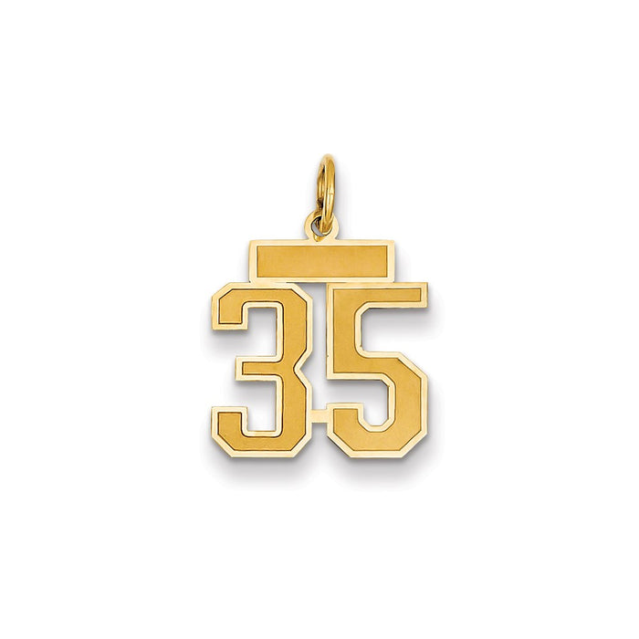 Million Charms 14K Yellow Gold Themed Small Satin Number 35 Charm