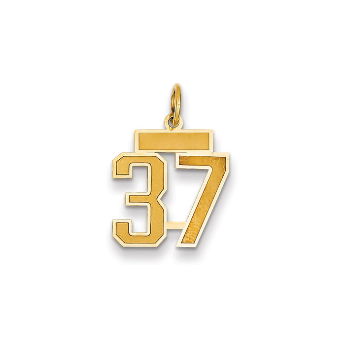 Million Charms 14K Yellow Gold Themed Small Satin Number 37 Charm