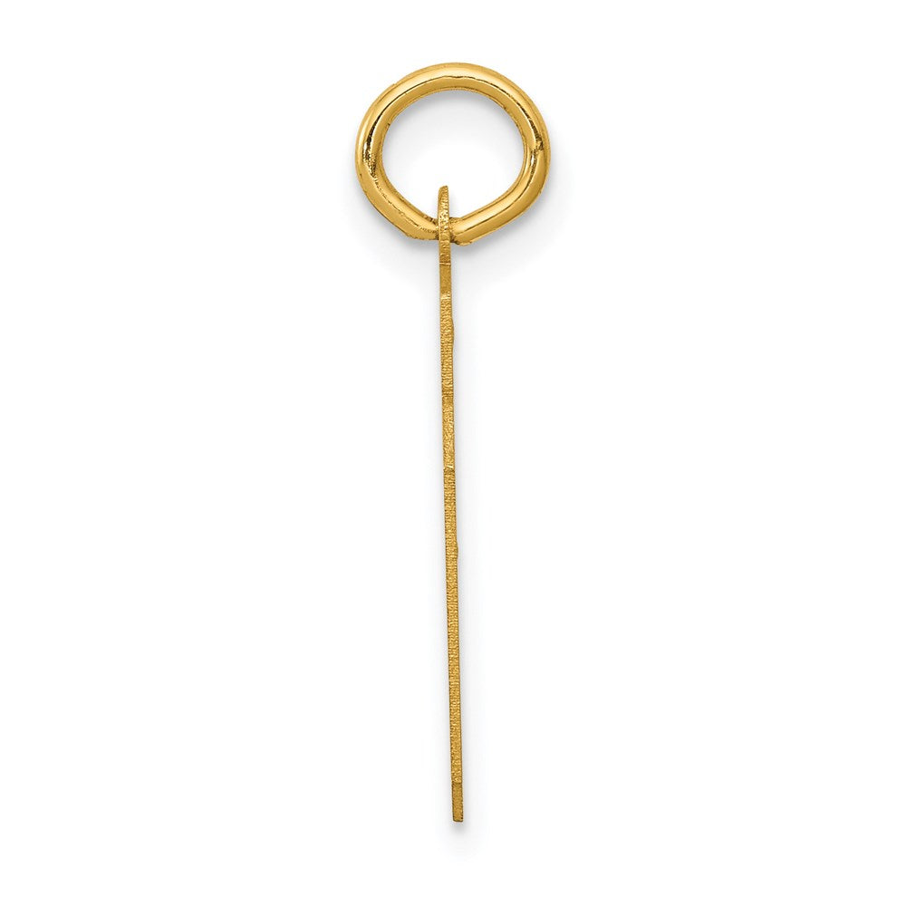 Million Charms 14K Yellow Gold Themed Small Satin Number 39 Charm