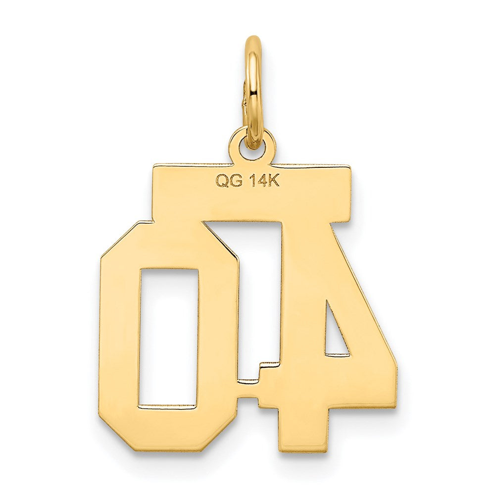Million Charms 14K Yellow Gold Themed Small Satin Number 40 Charm