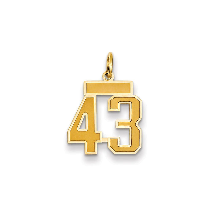 Million Charms 14K Yellow Gold Themed Small Satin Number 43 Charm