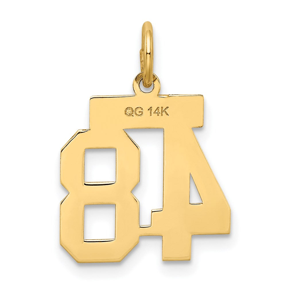 Million Charms 14K Yellow Gold Themed Small Satin Number 48 Charm