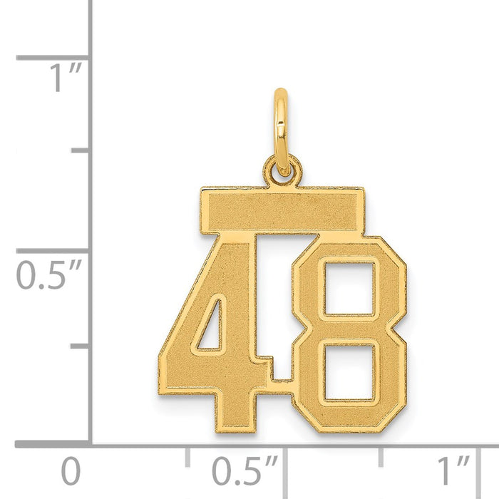 Million Charms 14K Yellow Gold Themed Small Satin Number 48 Charm