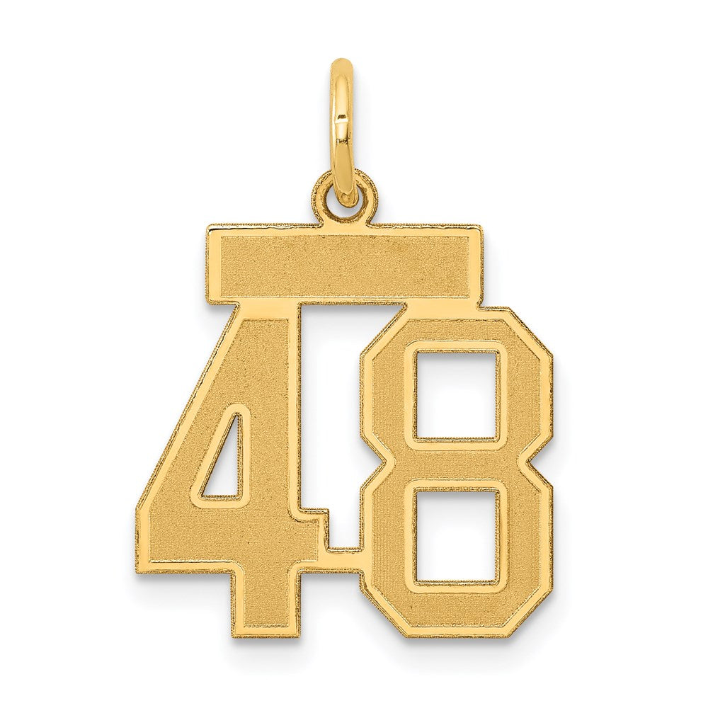 Million Charms 14K Yellow Gold Themed Small Satin Number 48 Charm