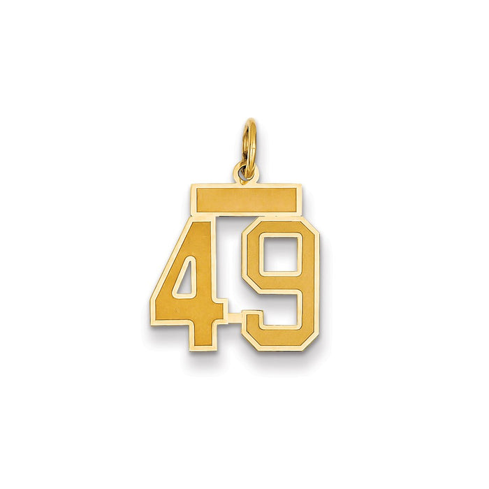 Million Charms 14K Yellow Gold Themed Small Satin Number 49 Charm