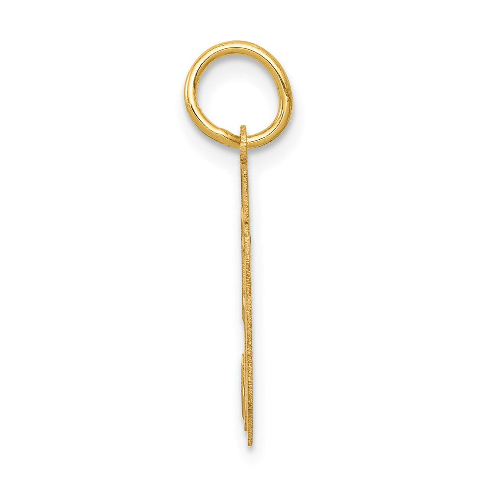 Million Charms 14K Yellow Gold Themed Small Satin Number 50 Charm