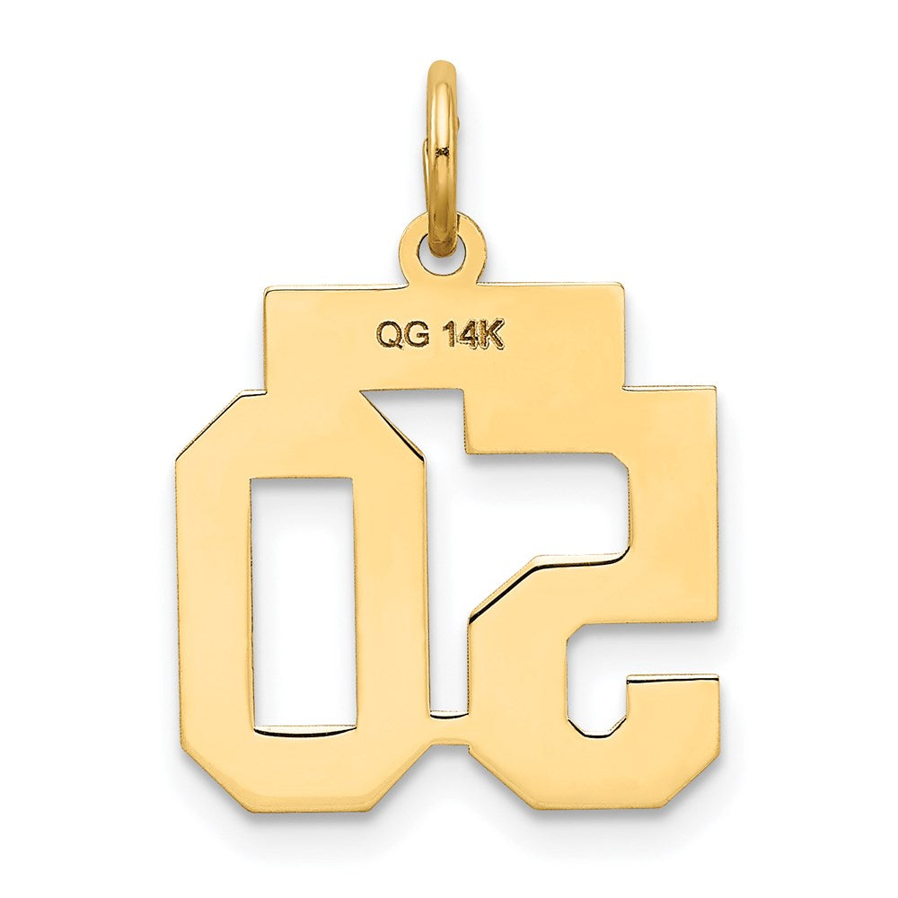 Million Charms 14K Yellow Gold Themed Small Satin Number 50 Charm