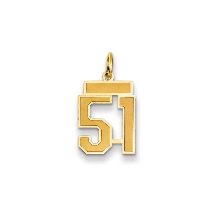 Million Charms 14K Yellow Gold Themed Small Satin Number 51 Charm