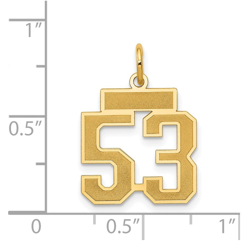 Million Charms 14K Yellow Gold Themed Small Satin Number 53 Charm