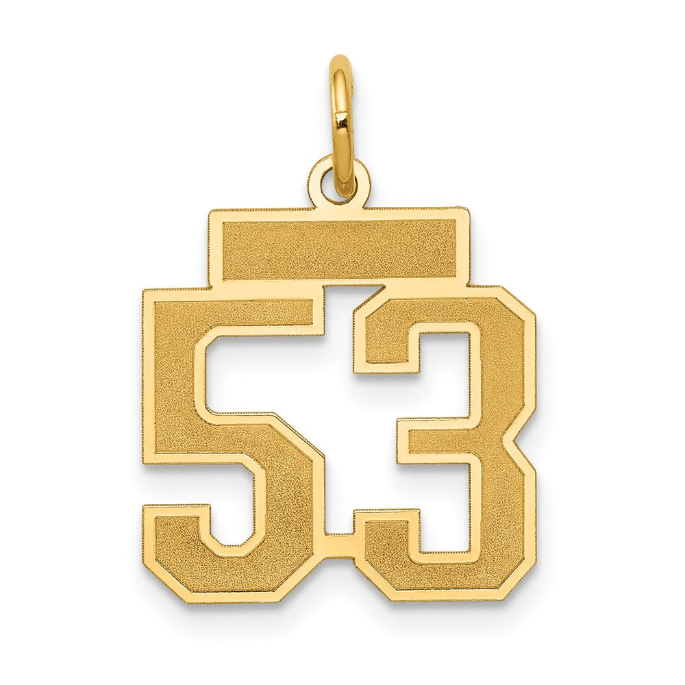 Million Charms 14K Yellow Gold Themed Small Satin Number 53 Charm